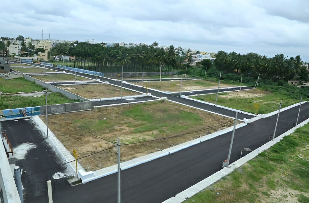 Avenue Plantation & Greenery